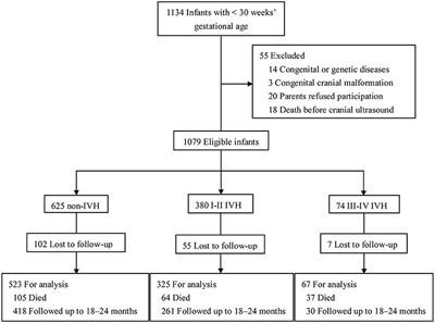 The Impact of Different Degrees of Intraventricular Hemorrhage on Mortality and Neurological Outcomes in Very Preterm Infants: A Prospective Cohort Study